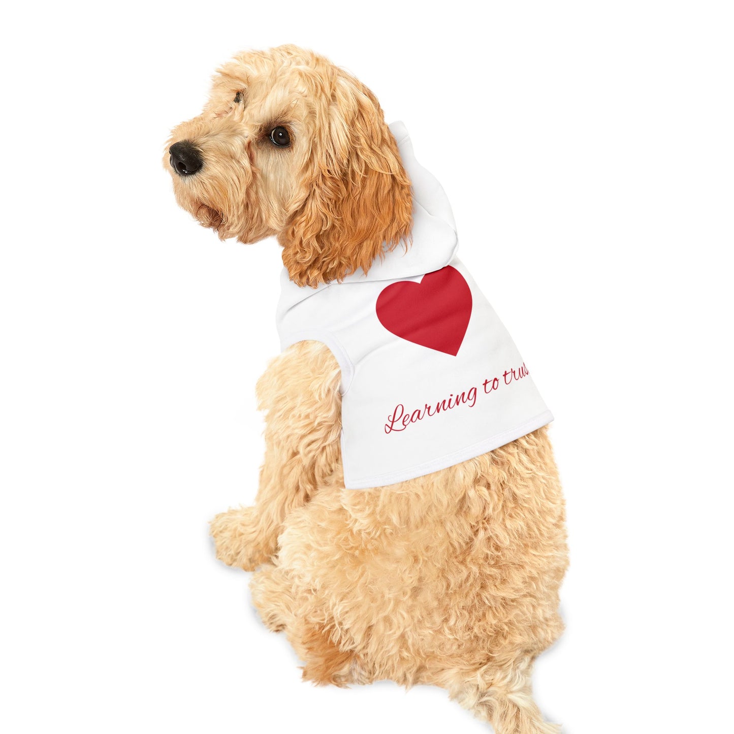 Heartfelt Pet Hoodie for Comfort and Style | Ideal for Pet Lovers, Cozy Gifts, Dog Apparel, Pet Clothing, Seasonal Wear