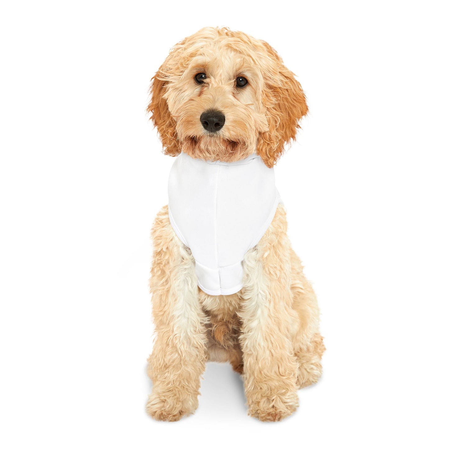 Heartfelt Pet Hoodie for Comfort and Style | Ideal for Pet Lovers, Cozy Gifts, Dog Apparel, Pet Clothing, Seasonal Wear